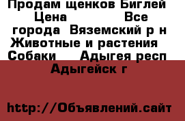 Продам щенков Биглей › Цена ­ 15 000 - Все города, Вяземский р-н Животные и растения » Собаки   . Адыгея респ.,Адыгейск г.